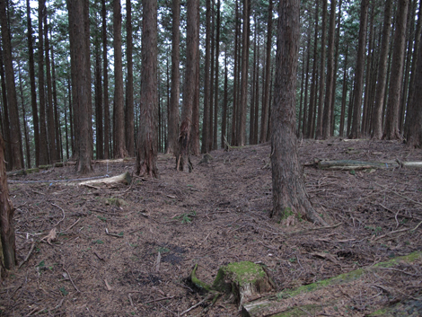 20160121hike (279)